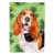 Basset hound chocolat / blanc