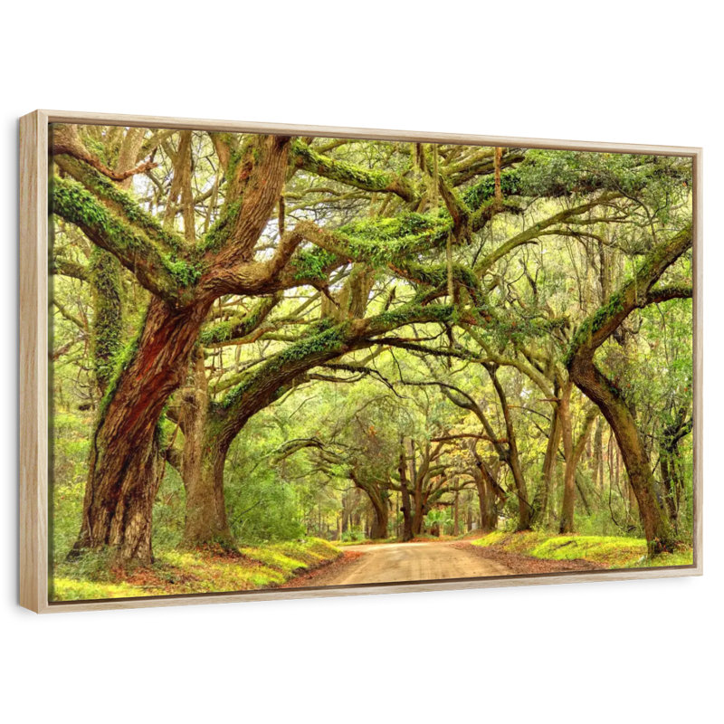 Charleston Oak Forest, Cadre flottant en bois naturel, 37 po x 25 po