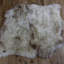 Rare Breed 2 Skin Sheepskin Rug