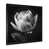 Cadre photo noir