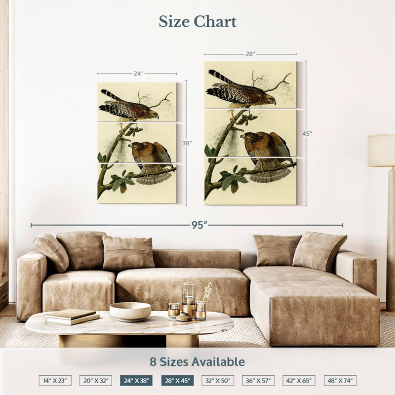 Brampt Red-Shouldered Hawk From Birds Of America, 38" H x 24" W