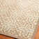 Mclain Geometric Hand Woven Indoor / Outdoor Area Rug