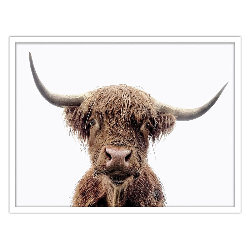 Thin Brown Highland Cow Portrait - Photographie avec cadre, Blanc