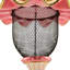 Rosy Check Pendant Bird Feeder
