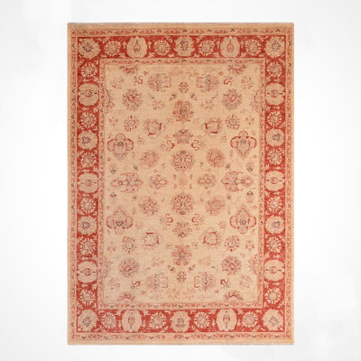 Original Hand Knotted Traditional Pattern Cream Wool and Cotton Rug