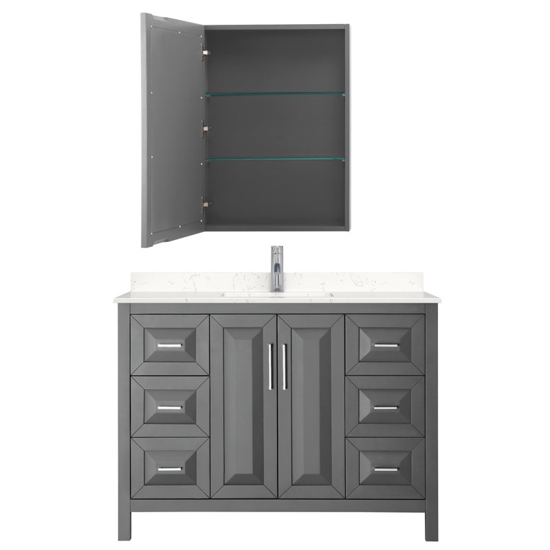 Daria 48'' W Single Vanity, Dark Gray, Polished Chrome
