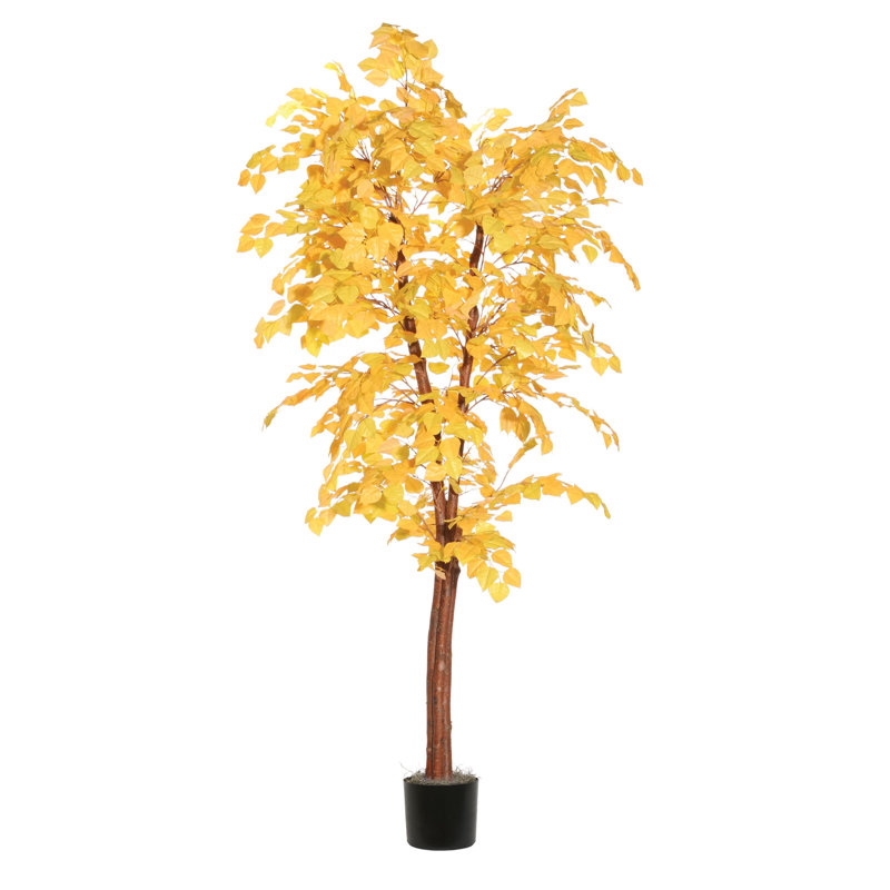 Artificial Golden Aspen Series, 72" H x 30" W x 30" D, Black