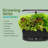 AeroGarden Bounty Basic Black