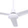 Doyle 48'' Ceiling Fan