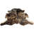 Danvers Cowhide Indoor Rug