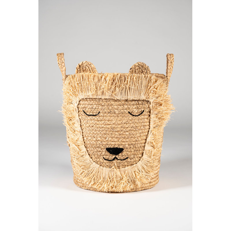 Mude Home Decorative Basket