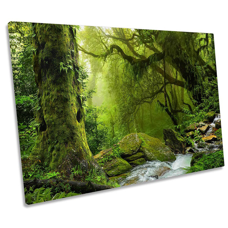 Z2546 Rain Forest Landscape River - Wrapped Canvas Print, 30.5cm H x 45.7cm W x 2cm D