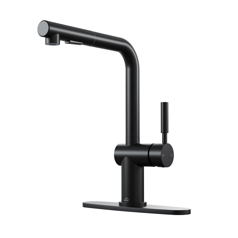 Matte Black Single-Handle Pull-Out Kitchen Faucet with Deck Plate