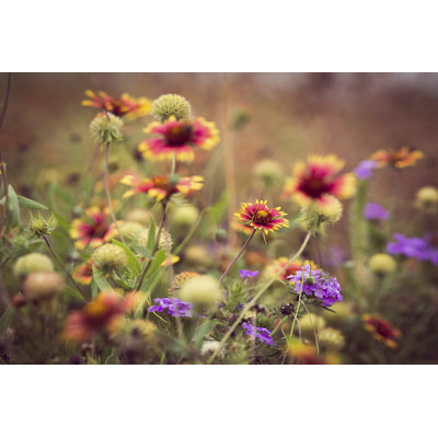 Wild Blooms IV - Wrapped Canvas Print