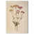 Gallery Wrapped is unavailable