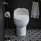 Château One-Piece Elongated Dual-Flush Toilet 1.1/1.6 gpf