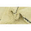 Tapis ivoire Orpheus
