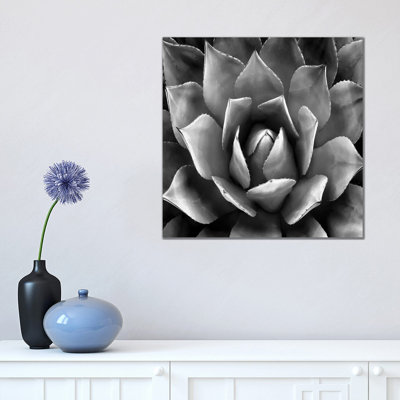Black And White Succulent II by Mia Jensen - Wrapped Canvas Print