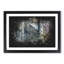Colourful Forest - Framed Print-56916987-56916989
