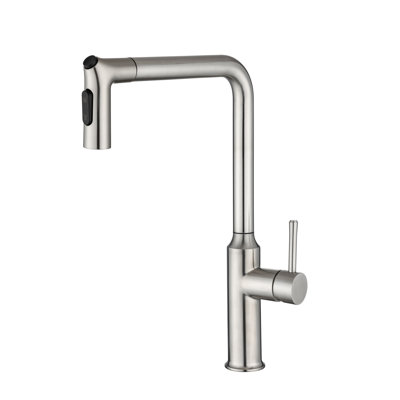 Rainlex Pull Down Kitchen Faucet