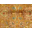 Oriental Area Rug in Brown/Red