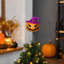 Décoration d'Halloween : Citrouille d'Halloween, cimier de sapin avec chapeau de sorcière violet, lanternes à ressort, ornement de cimier de sapin effrayant, petit sapin de table, décoration de Noël