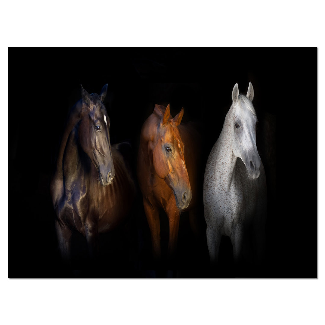 'Black Red and White Horses' Graphic Art on Wrapped Canvas Design Art 