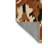 Nomadic Thread Rug-2138818658