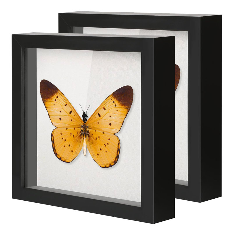 10"X10" Shadow Boxes Display Cases With Soft Linen Back Deep Wood Glass 3D Shadow Box Set For Wall And Tabletop Baby Sports, 2 Pack Black