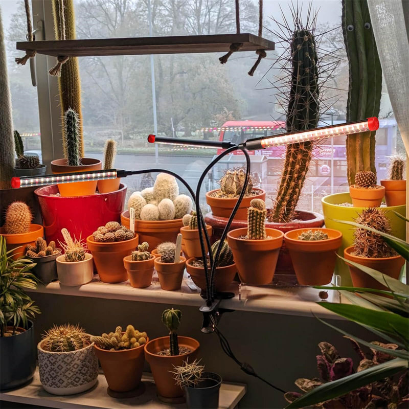 Ivy Bronx Grow Light