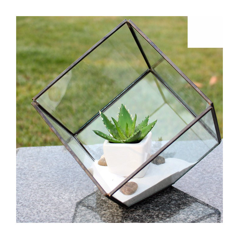 Terrarium en verre Raekwon Heptahedron, H 11,5 po x l 12 po x P 12 po, Noir