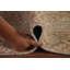 Tapis traditionnel 8 x 11