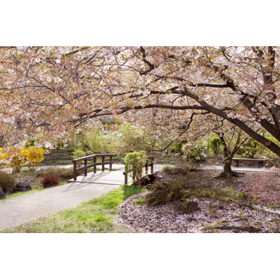 Cherry Tree In Spring by Pressdigital - Wrapped Canvas Print