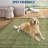 Machine Washable Area Rugs for Living Room Modern Geometric Non Slip Floor Carpet Rugs for Bedroom Nursery-716828775-716828773
