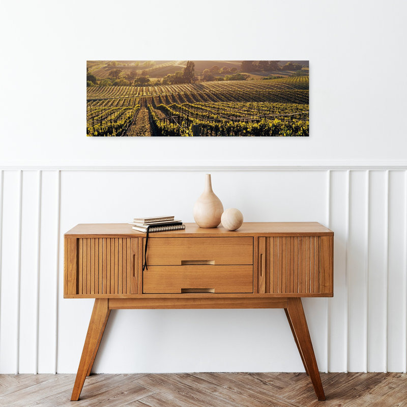 Vue aérienne de lignes dans un vignoble, vallée de Careros, Californie, États-Unis, H 12 po x l 36 po