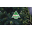 5.09' H Lighted Artificial Fir Christmas Tree