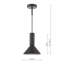 Ragnar 1LT PENDANT DUAL PURPOSE-118323879