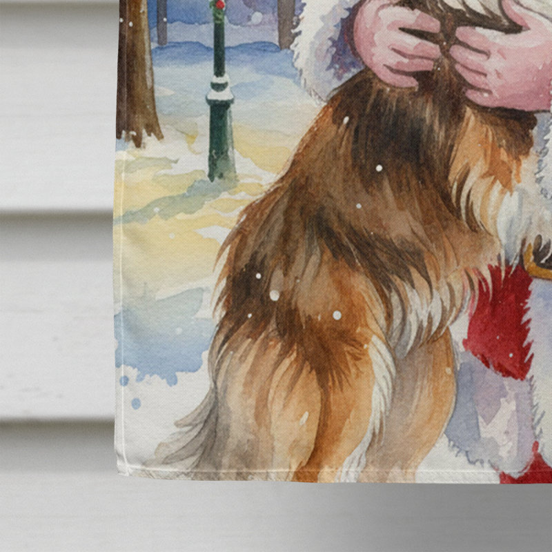 Collie avec le drapeau de la maison du père Noël, Taille de la maison, Colley