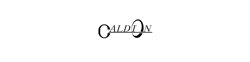 Caldion logo