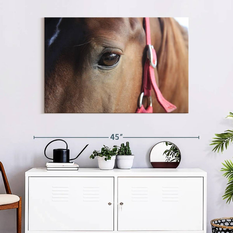 Brown Horse Eye, 26" H x 39" W
