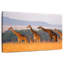 Crowle Giraffe Family Travel-111860060