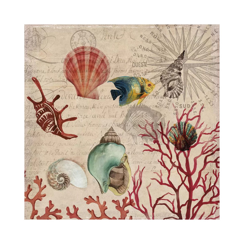 Coral I by Aimee Wilson - Wrapped Canvas Print, 30.48 cm H x 30.48 cm W