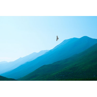 " Eagle Flying Over Mountains "