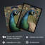 Curious Peacock Detailed Pen And Ink Study Modern Large Wall Art Poster Print Thick Paper 18X24 Inch