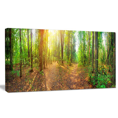 « dense forest panorama », reproduction de photo sur toile tendue