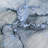 Fredela Area Rug-545627878
