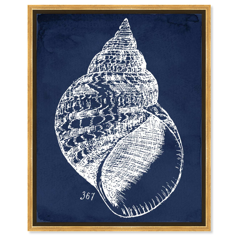 Nautique et côtier, coquillage, marine, marine, vie marine, impression sur toile, Encadrement doré