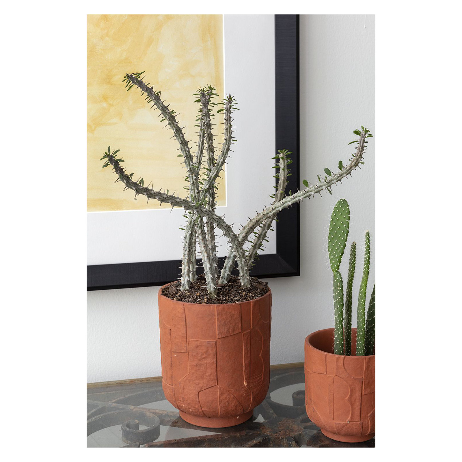 Xanthe Ceramic Pot Planter, 7" H x 6.25" W x 6.25" D