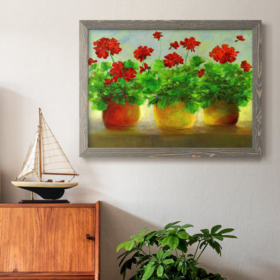 " Geraniums III "