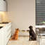 Tall Clear Triple Dog Bowl Feeder with Bowls-397908645